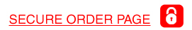 Secure Order Page